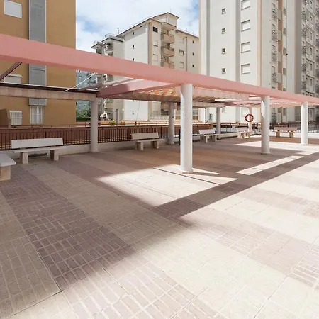 Navegante Gandia